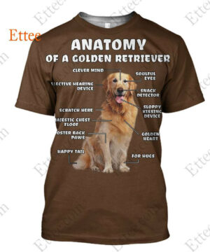 Anatomy Of A Golden Retriever 3D Unisex Hoodie, Perfect Gift For Dog Lovers - Ettee - 3D