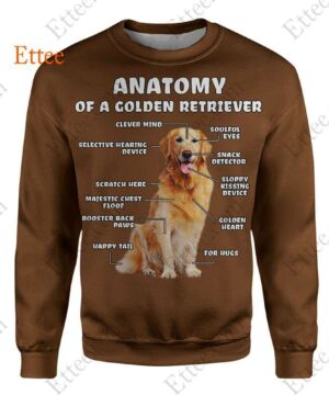 Anatomy Of A Golden Retriever 3D Unisex Hoodie, Perfect Gift For Dog Lovers - Ettee - 3D