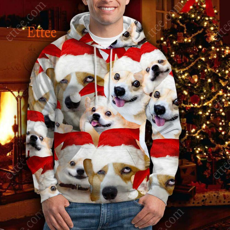 Corgi Meme 3D Unisex Hoodie, Funny Gift For Corgi Lovers - Ettee - 3D