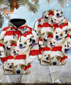 Corgi Meme 3D Unisex Hoodie, Funny Gift For Corgi Lovers - Ettee - 3D