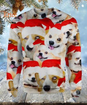 Corgi Meme 3D Unisex Hoodie, Funny Gift For Corgi Lovers - Ettee - 3D