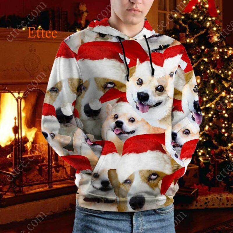 Corgi Meme 3D Unisex Hoodie, Funny Gift For Corgi Lovers - Ettee - 3D