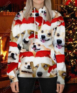 Corgi Meme 3D Unisex Hoodie, Funny Gift For Corgi Lovers - Ettee - 3D