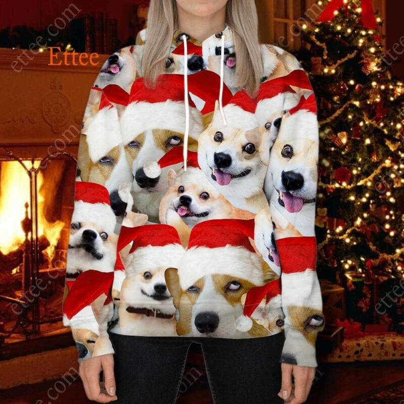 Corgi Meme 3D Unisex Hoodie, Funny Gift For Corgi Lovers - Ettee - 3D