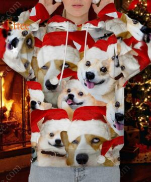 Corgi Meme 3D Unisex Hoodie, Funny Gift For Corgi Lovers - Ettee - 3D