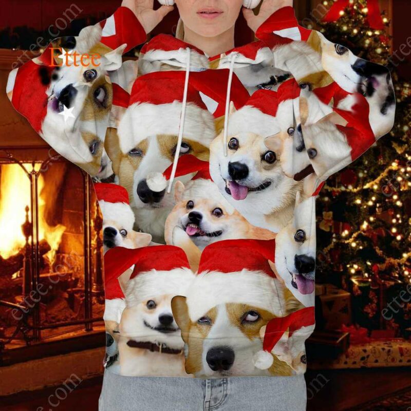 Corgi Meme 3D Unisex Hoodie, Funny Gift For Corgi Lovers - Ettee - 3D