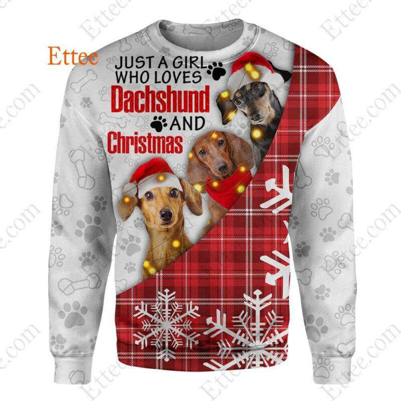 Dachshund Girl 3D Hoodie, A Girl Who Loves Dachshund & Christmas - Ettee - 3D Hoodie