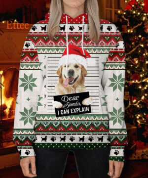 Golden Retriever Ugly Christmas 3D Unisex Hoodie, Dear Santa Dog - Ettee - 3D