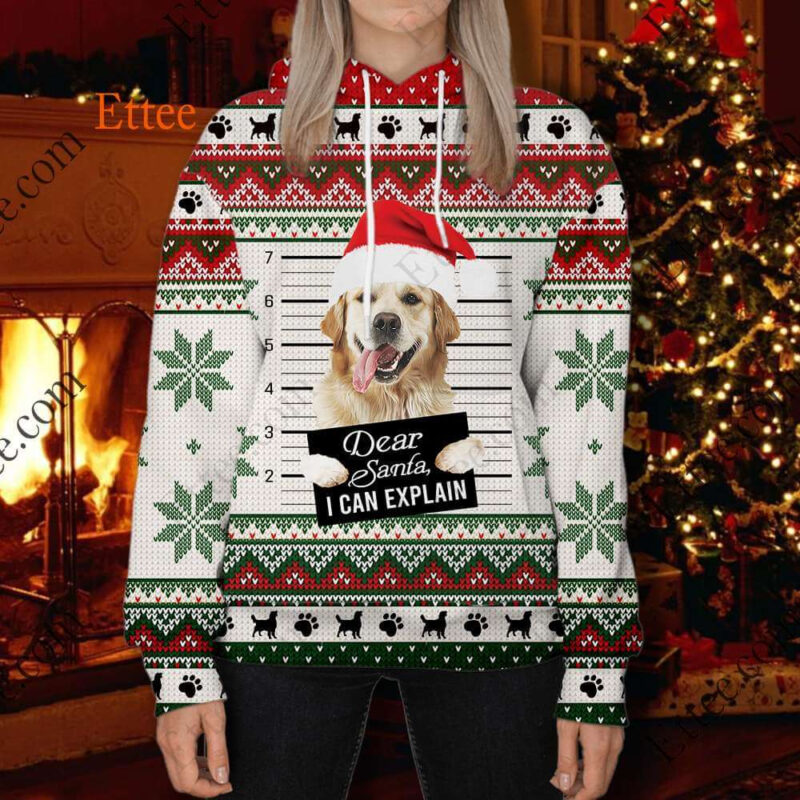 Golden Retriever Ugly Christmas 3D Unisex Hoodie, Dear Santa Dog - Ettee - 3D