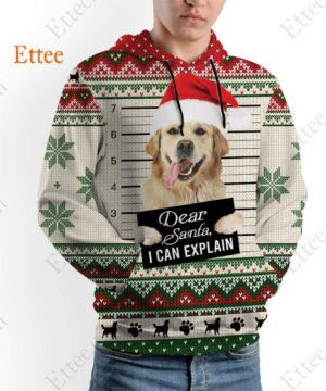 Golden Retriever Ugly Christmas 3D Unisex Hoodie, Dear Santa Dog - Ettee - 3D