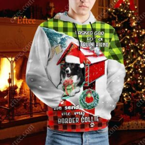 Border Collie In Mailbox 3D Unisex Hoodie, I Asked God For A True Friend - Ettee - 3D