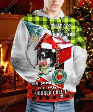 Border Collie In Mailbox 3D Unisex Hoodie, I Asked God For A True Friend - Ettee - 3D