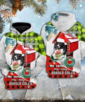 Border Collie In Mailbox 3D Unisex Hoodie, I Asked God For A True Friend - Ettee - 3D