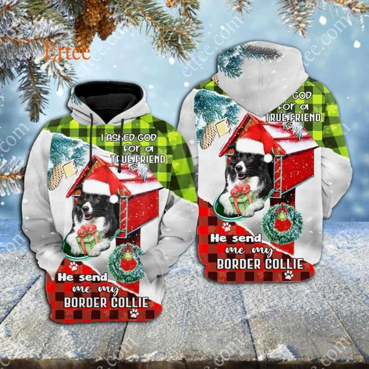 Border Collie In Mailbox 3D Unisex Hoodie, I Asked God For A True Friend - Ettee - 3D