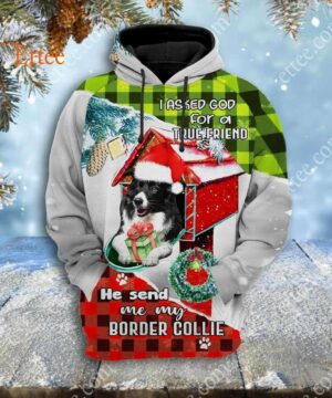 Border Collie In Mailbox 3D Unisex Hoodie, I Asked God For A True Friend - Ettee - 3D