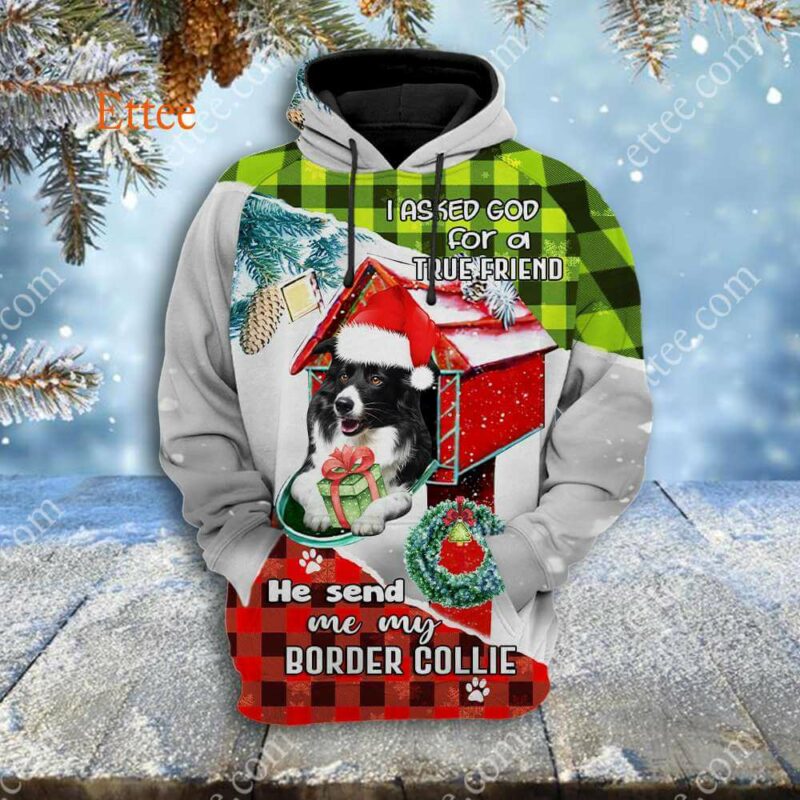 Border Collie In Mailbox 3D Unisex Hoodie, I Asked God For A True Friend - Ettee - 3D