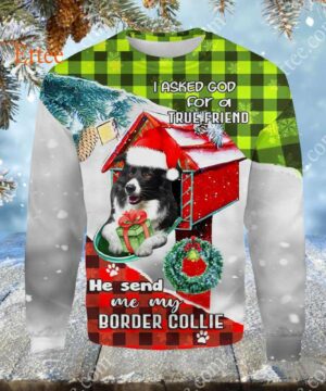 Border Collie In Mailbox 3D Unisex Hoodie, I Asked God For A True Friend - Ettee - 3D