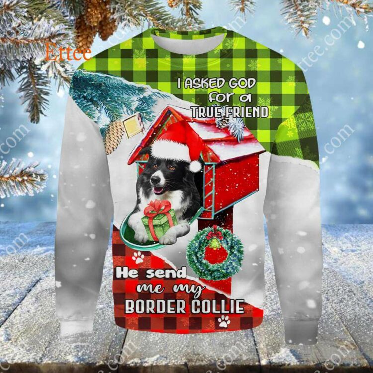 Border Collie In Mailbox 3D Unisex Hoodie, I Asked God For A True Friend - Ettee - 3D
