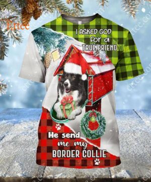 Border Collie In Mailbox 3D Unisex Hoodie, I Asked God For A True Friend - Ettee - 3D