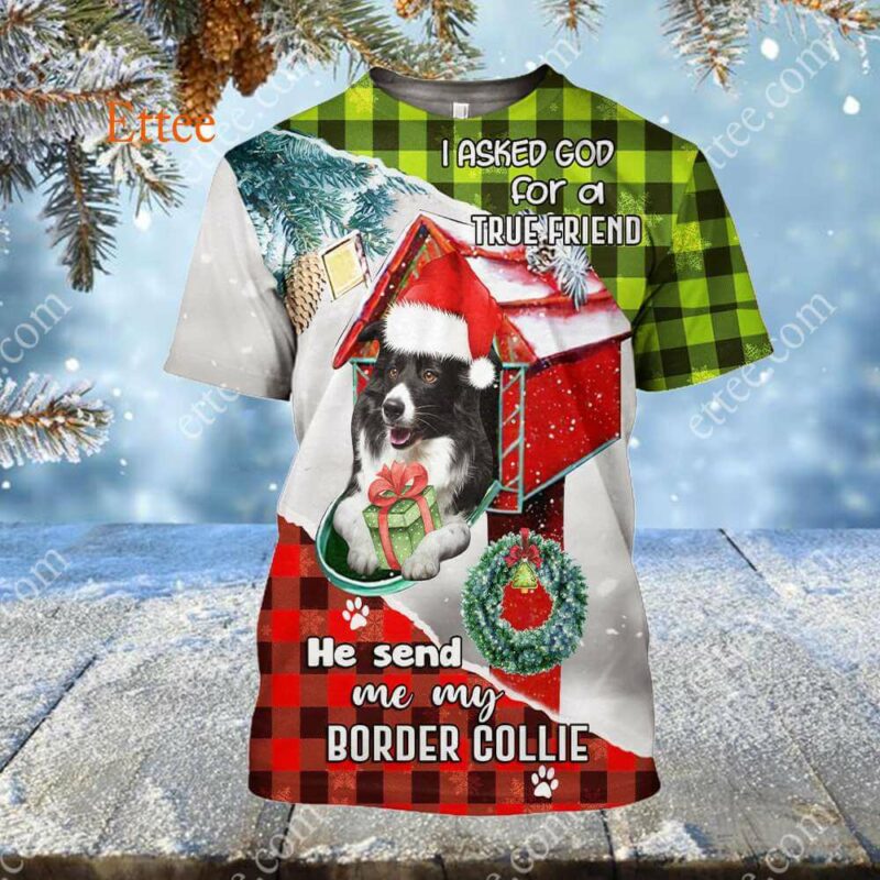 Border Collie In Mailbox 3D Unisex Hoodie, I Asked God For A True Friend - Ettee - 3D