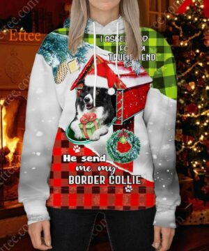 Border Collie In Mailbox 3D Unisex Hoodie, I Asked God For A True Friend - Ettee - 3D