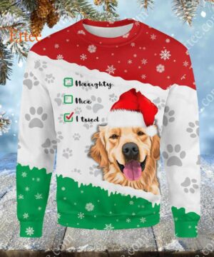 Golden Retriever 3D Hoodie, Dear Santa I Tried - Ettee - 3D Hoodie