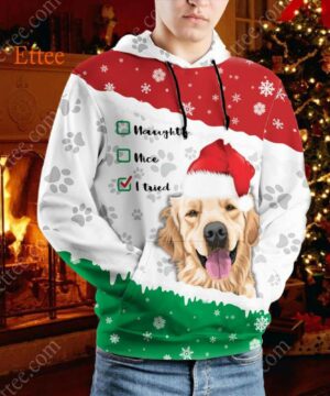 Golden Retriever 3D Hoodie, Dear Santa I Tried - Ettee - 3D Hoodie