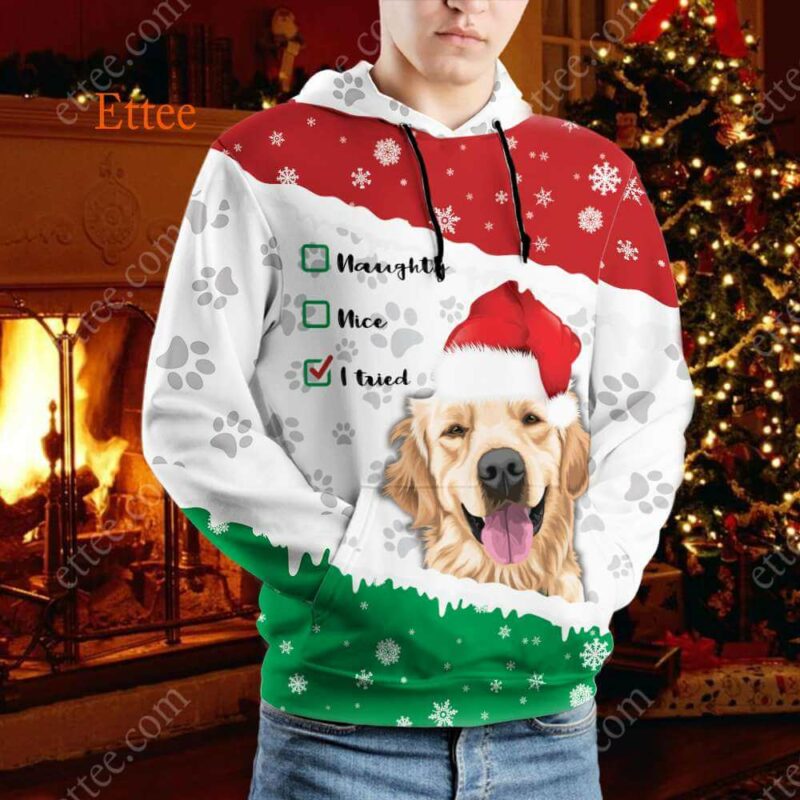 Golden Retriever 3D Hoodie, Dear Santa I Tried - Ettee - 3D Hoodie