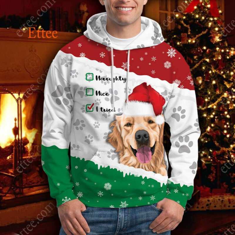 Golden Retriever 3D Hoodie, Dear Santa I Tried - Ettee - 3D Hoodie