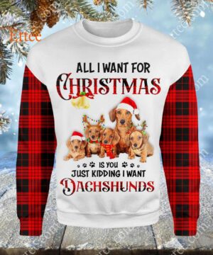 Wiener Dog Mom Christmas 3D Unisex Hoodie, Just Kidding I Want Dachshunds - Ettee - 3D