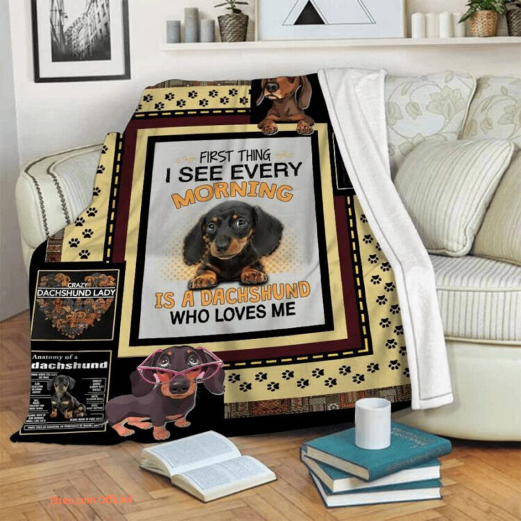 Crazy Dachshund Lady Quilt Blanket. Lightweight And Smooth Comfort - Super King - Ettee