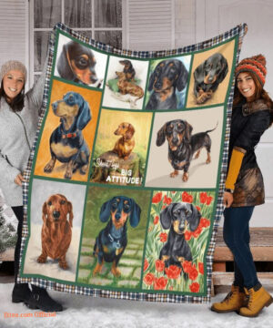 3D Dachshund Sherpa Quilt Blanket. Light And Durable. Soft To Touch - Super King - Ettee