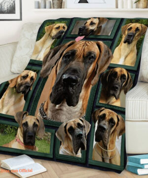 3D Animal Dog Beauty Quilt Blanket. Light And Durable. Soft To Touch - Super King - Ettee