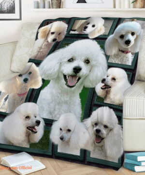 3D Poodle Beauty Quilt Blanket. Light And Durable. Soft To Touch - Super King - Ettee