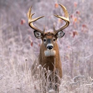 hunting-bedding-set