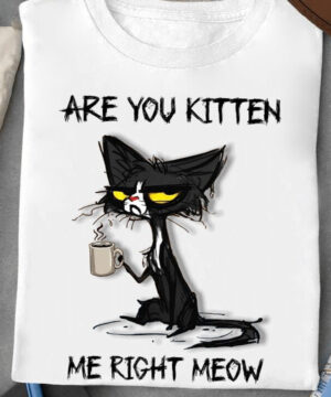 Are You Kitten Me Right Meow - Ettee - Cat