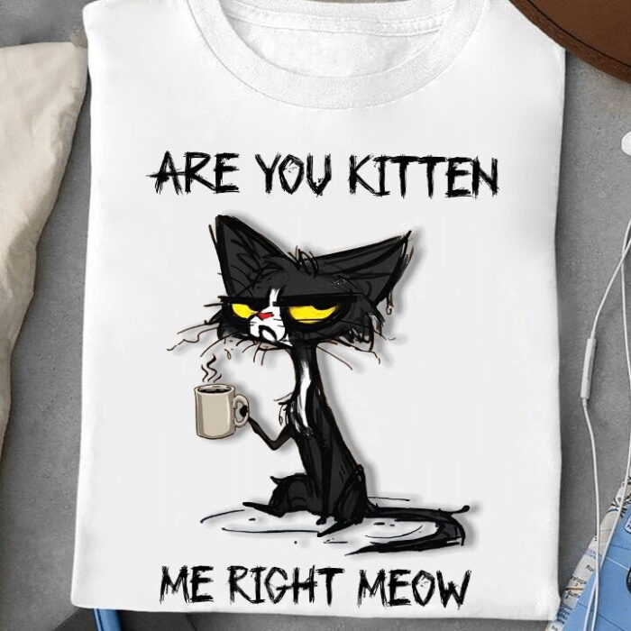 Are You Kitten Me Right Meow - Ettee - Cat