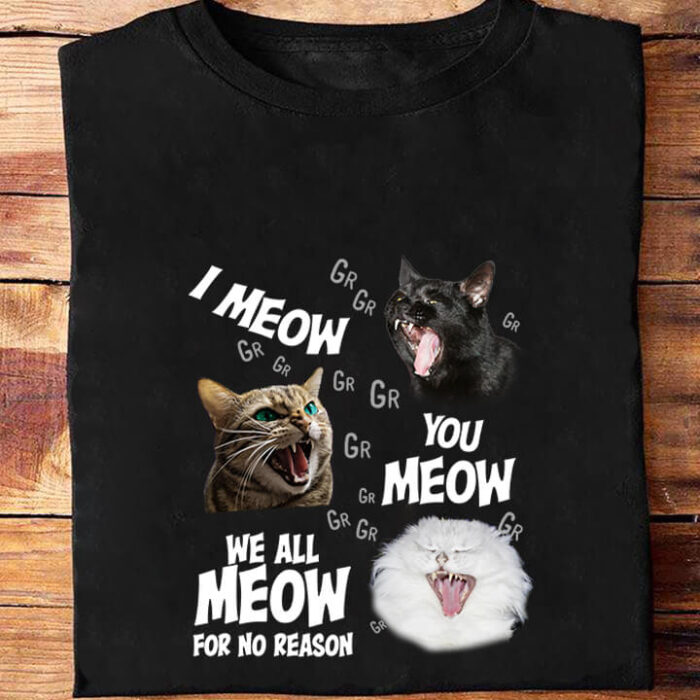 I Meow You Meow We All Meow For No Reason - Ettee - cat lovers
