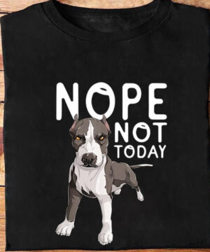 Nope Not Today T-Shirt - Ettee - keywords: Nope