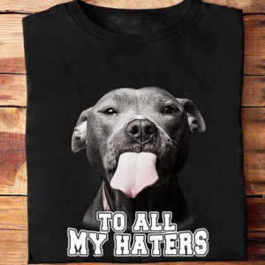 To All My Haters - Ettee - Discoverability