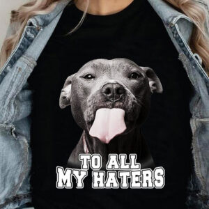 To All My Haters - Ettee - Discoverability